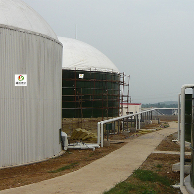 CH4嫌気性のダイジェスター タンク二酸化炭素のBiodigesterの植物連続的なかき混ぜられたタンク生物反応炉